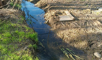 «Мусора больше, чем воды»: родник у реки Тростянка в Туле превратился в помойку, откуда все ещё пьют люди