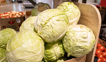 Тулякам рассказали, какие продукты включить в рацион зимой