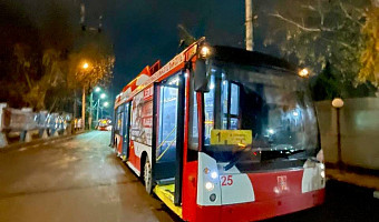 В Тульской области усилили контроль за пассажирскими перевозками после смертельного ДТП