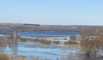 В Тульской области появилось собственное море. В алексинском селе Першино река Упа разлилась на несколько километров