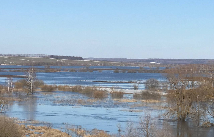 В Тульской области появилось собственное море. В алексинском селе Першино река Упа разлилась на несколько километров