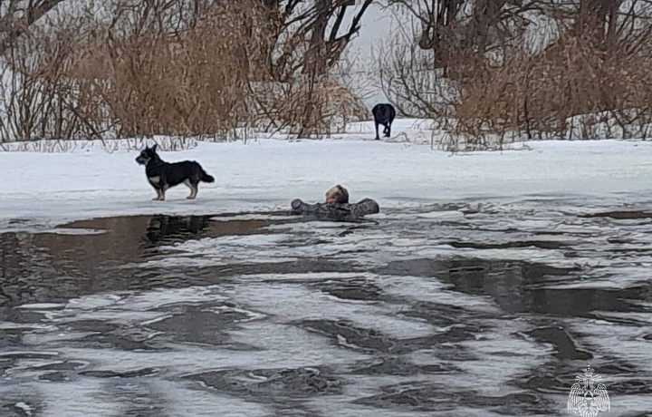 В Алексинском районе спасли мужчину, который чуть не утонул в реке Оке, помогая собаке