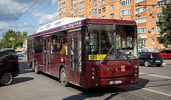 В Туле за сутки 343 человека пытались проехать «зайцами» в общественном транспорте