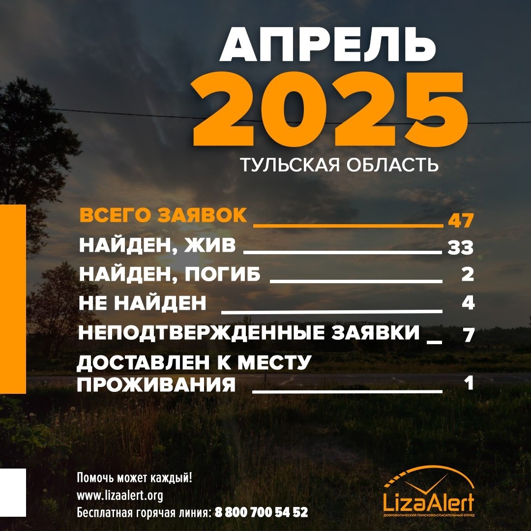 Инфографика «ЛизаАлерт»